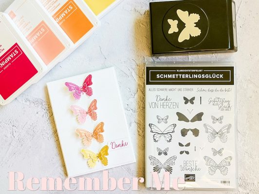 Schmetterlingsglück 3: Remember Me