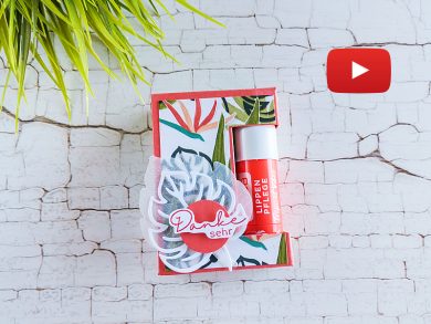 Video: Verpackung mit Kunstvolle Lagen für Lippenpflegestift